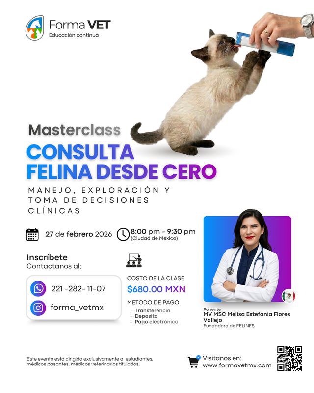 Consulta Felina desde Cero