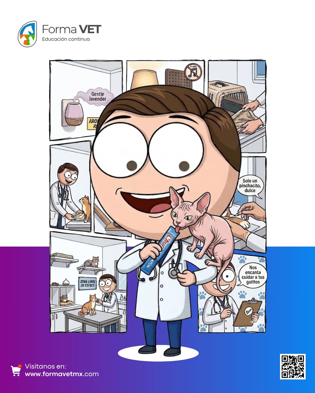 Consulta Felina desde Cero