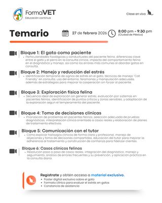 Consulta Felina desde Cero
