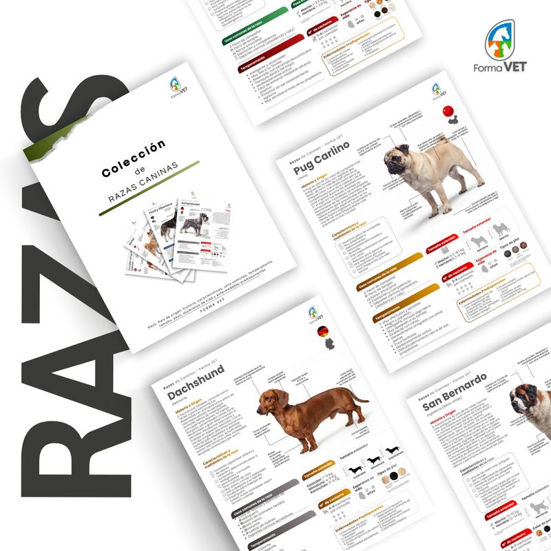 Colección de Razas Caninas