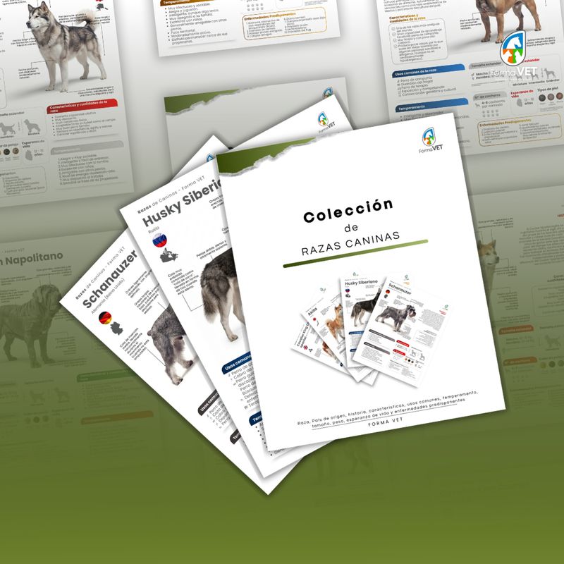 Colección de Razas Caninas Colección de Razas Caninas