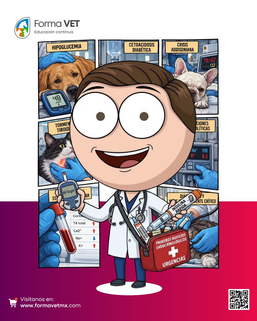 Emergencias Endocrinológicas en perros y gatos
