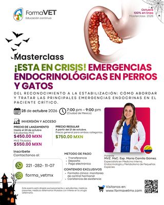 Emergencias Endocrinológicas en perros y gatos