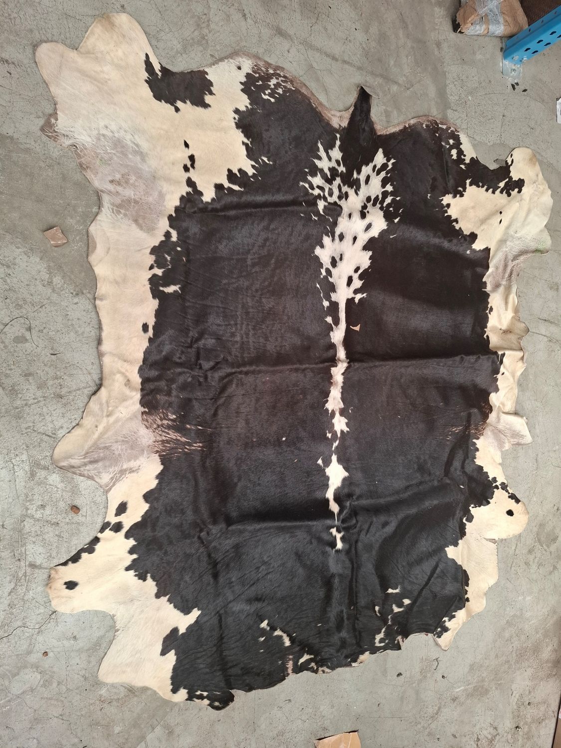 ANIMAL SKIN - NGUNI