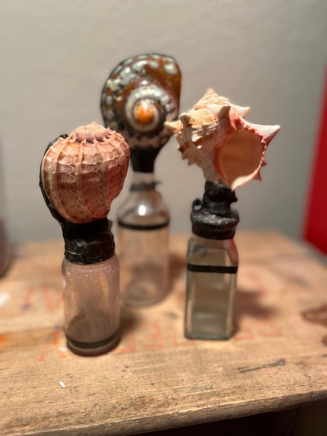 Vintage Bottles With Shells