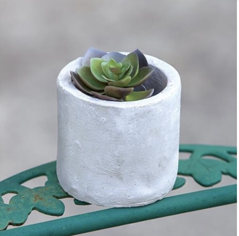 Cement Planter