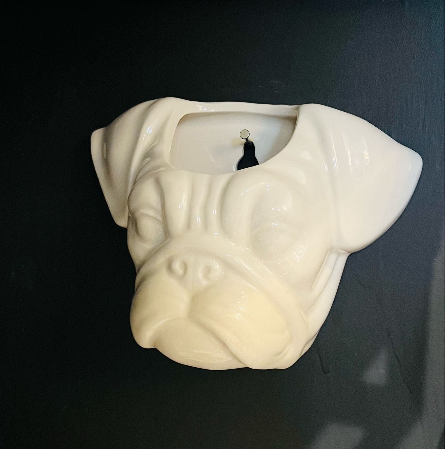 Doggie Head Planter Daschund Or Bulldog