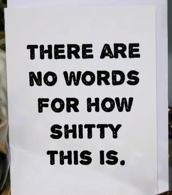 Greeting Card - No Words For How Shi**y This Is