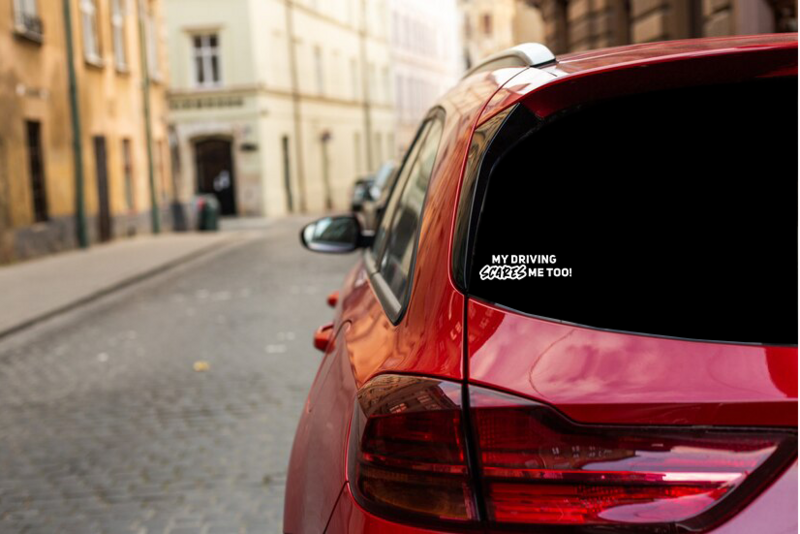 My diving scares me too decal