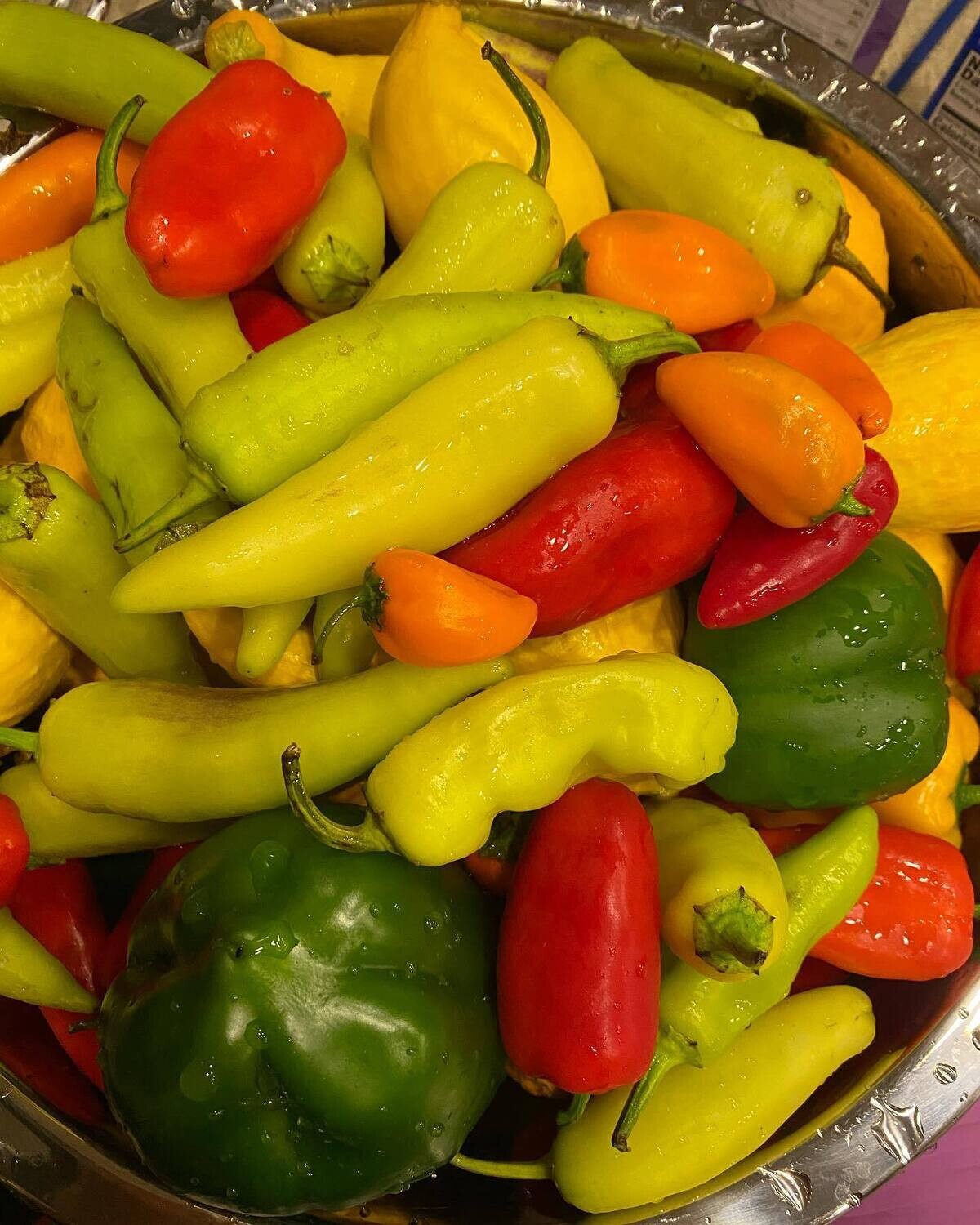 Full Season Season CSA