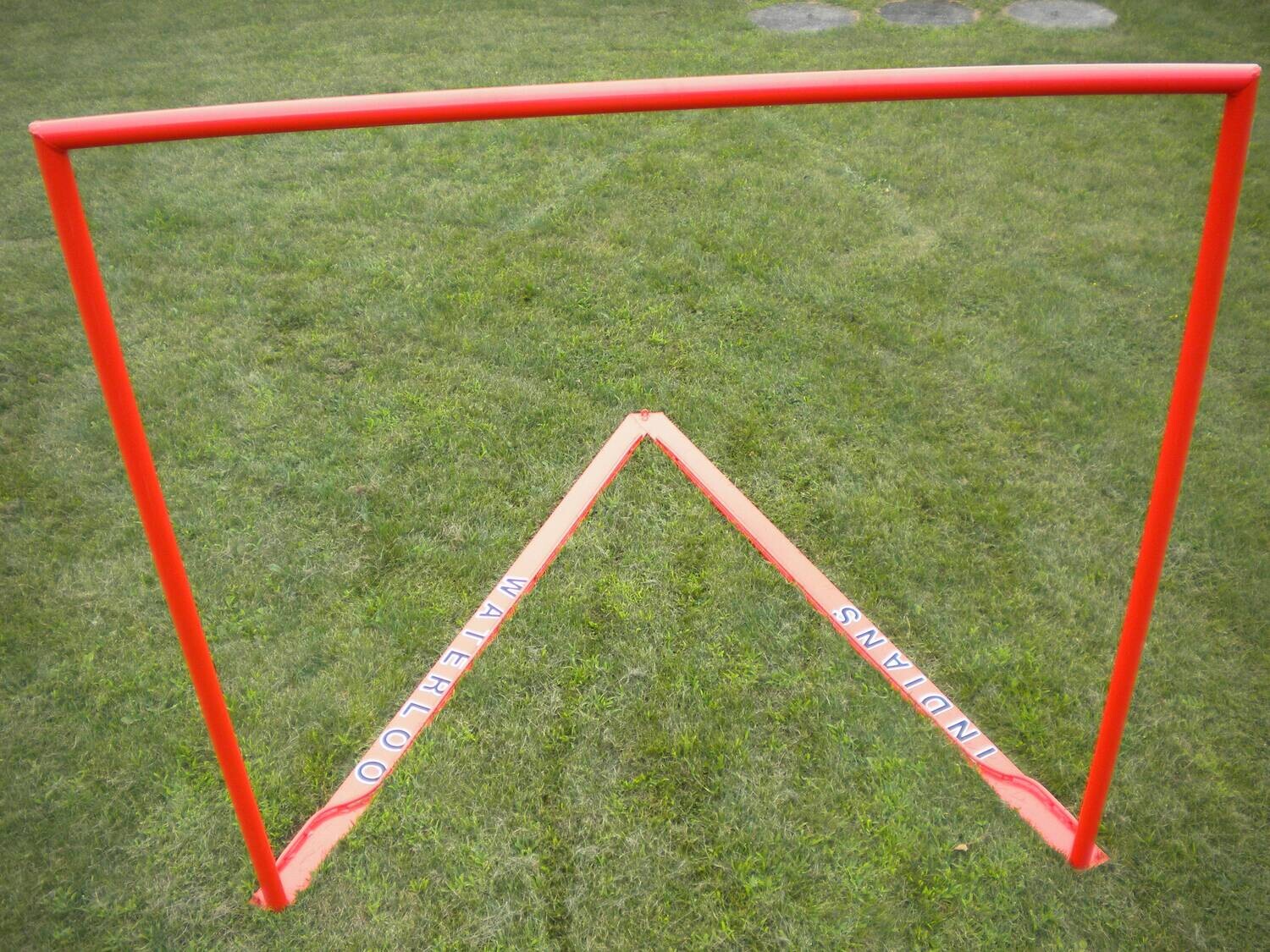 Professional Goal Frame