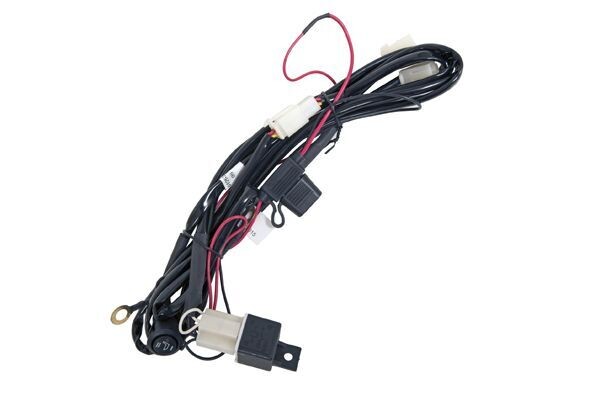 ROSTRA - 2502799