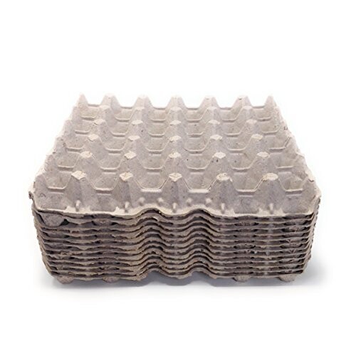 Cardboard Egg Crate (10 pack)