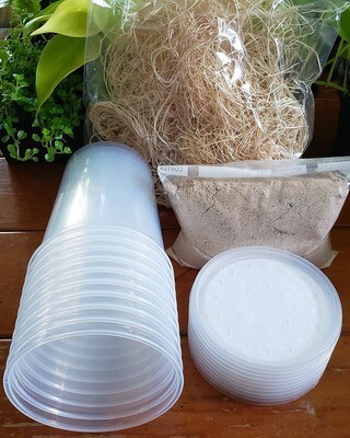 Insect Culturing