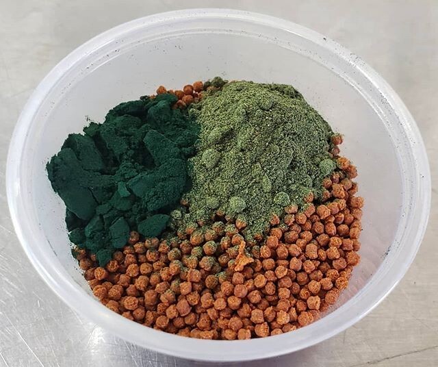 Tadpole Chow (5g)