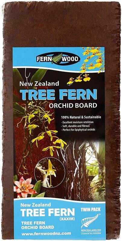 Tree Fern Panel
(12x6x0.6&quot;)