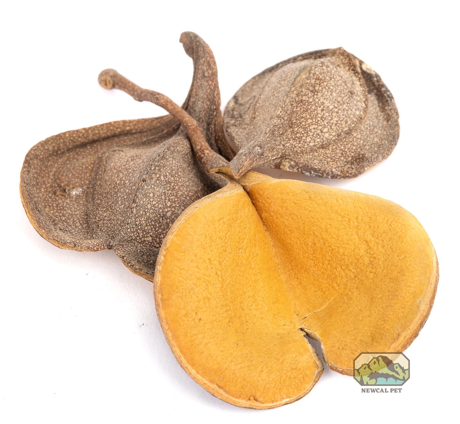 Elephant&#39;s Ear (1oz)