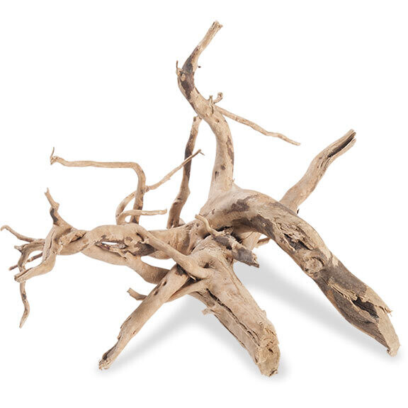 Spider Wood
