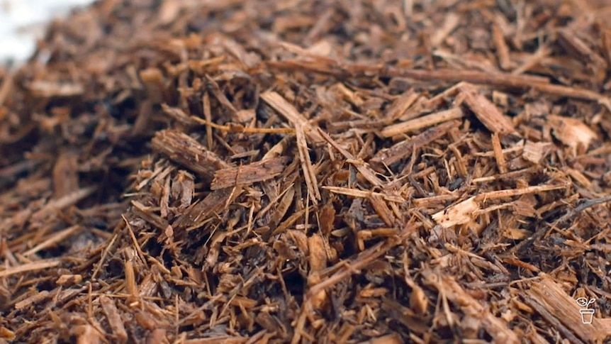 Cypress Mulch (56L)