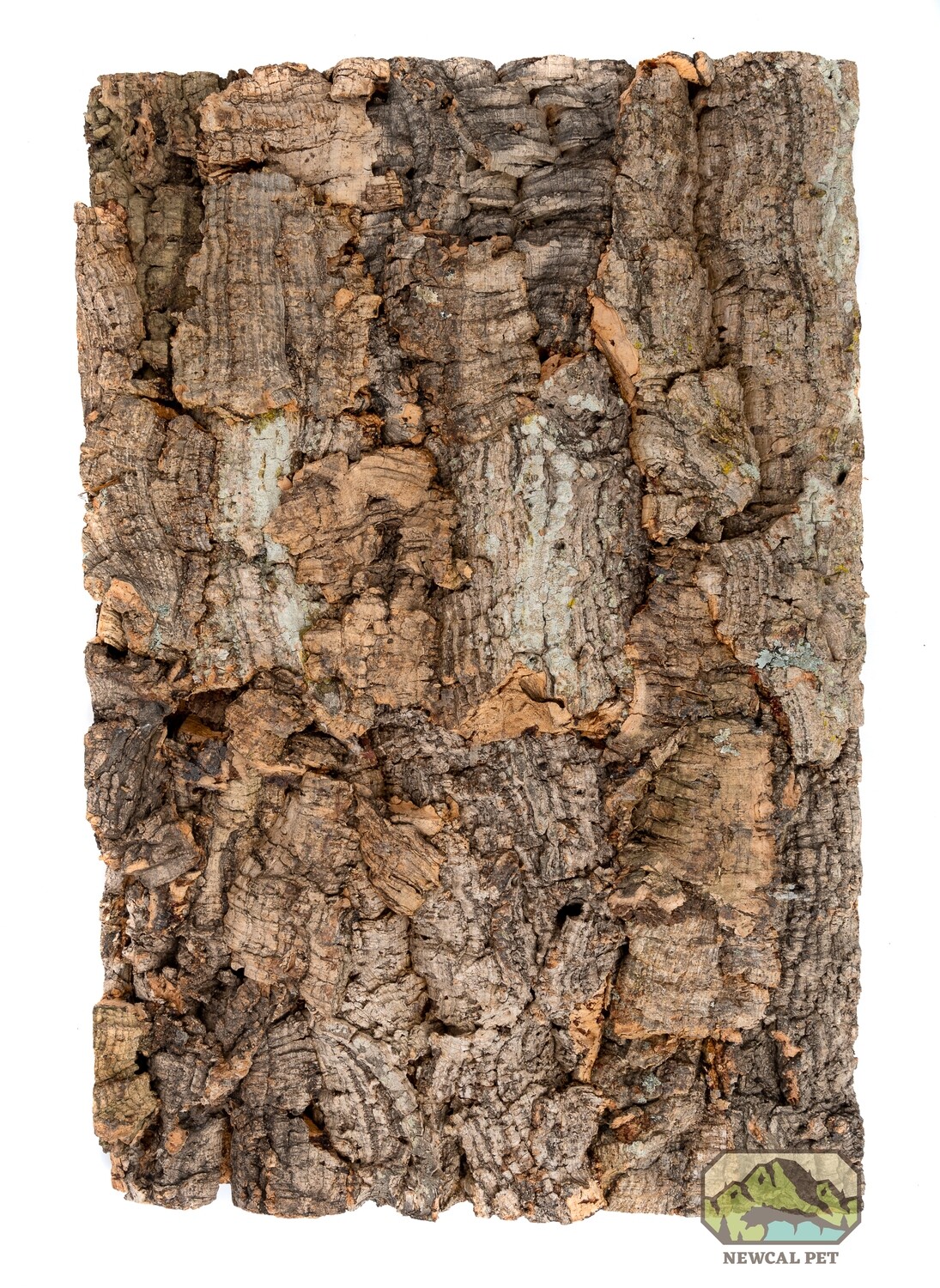 Cork Background