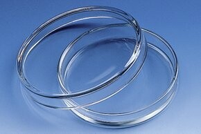 Petri Dishes (10 pack)