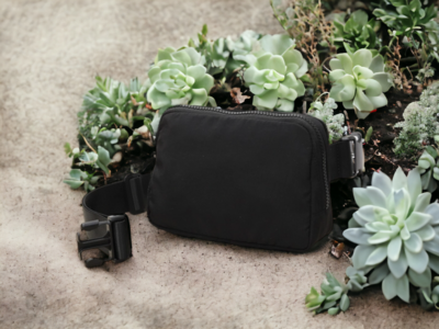 Solid Mini Fanny Belt Bag - Black