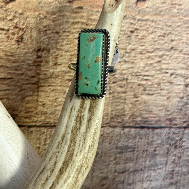 Turquoise Trail Adjustable Ring