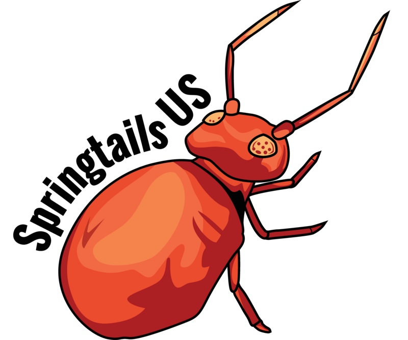 Springtails US Gift Card