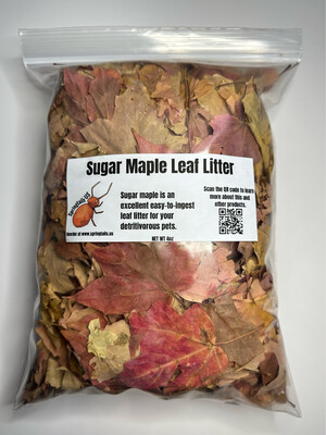 1 Stuffed Gallon (4oz wt) Sugar Maple Leaf Litter