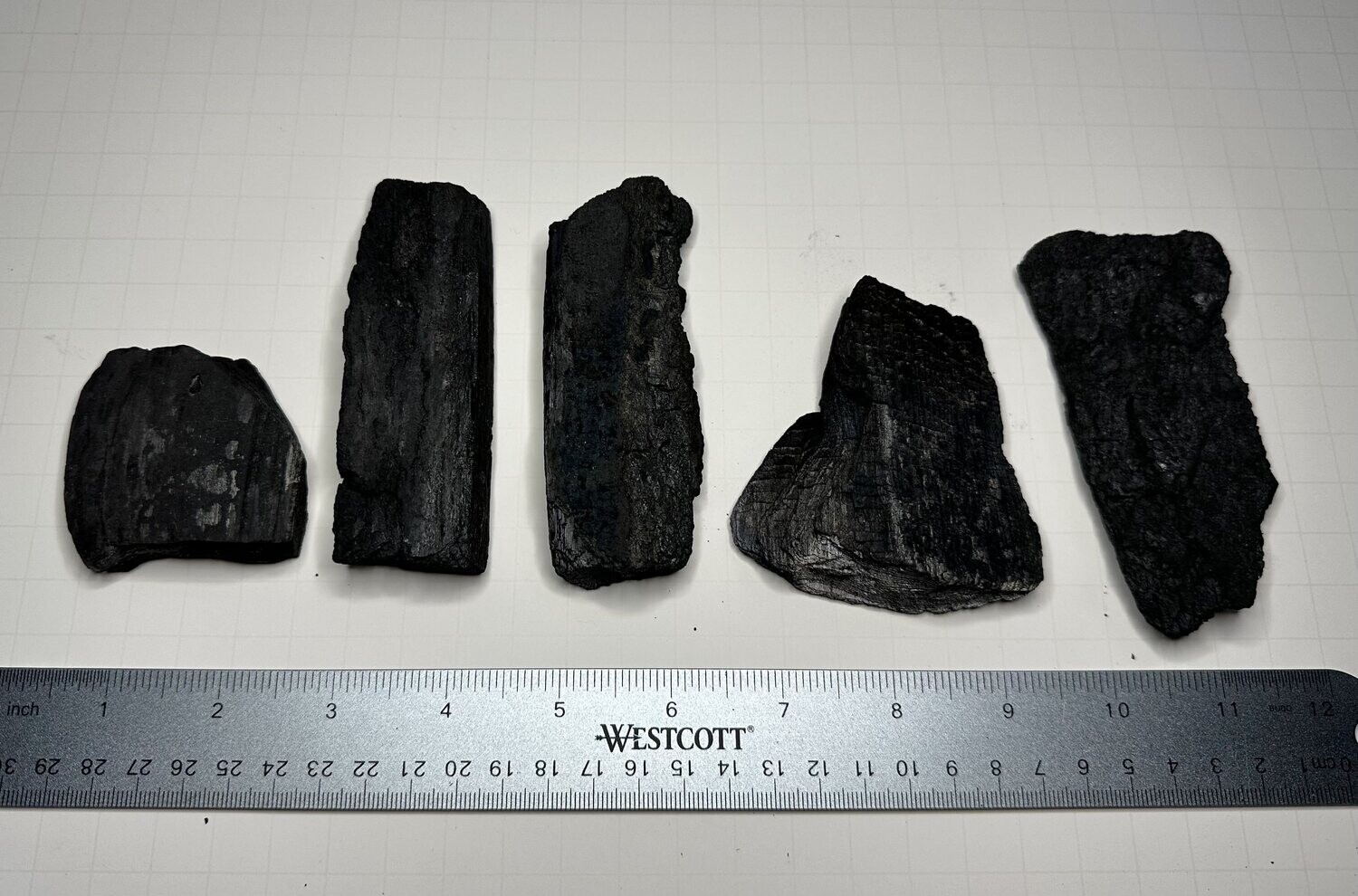 1pc Assorted Charcoal Hide