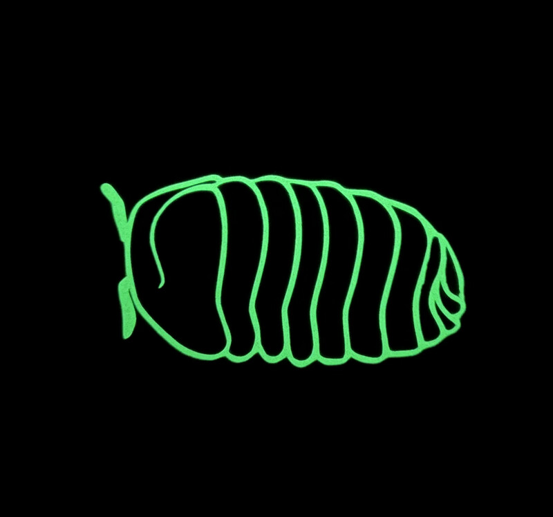 Glow in the Dark Outlined-Isopod Sticker