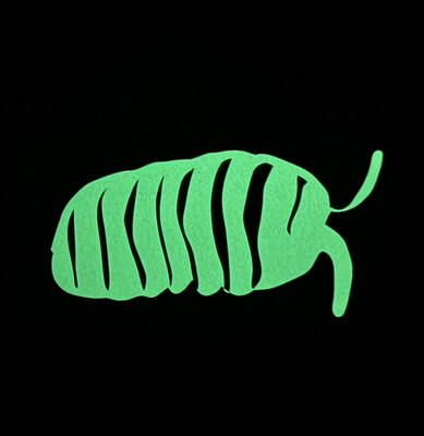 Glow in the Dark Isopod Sticker