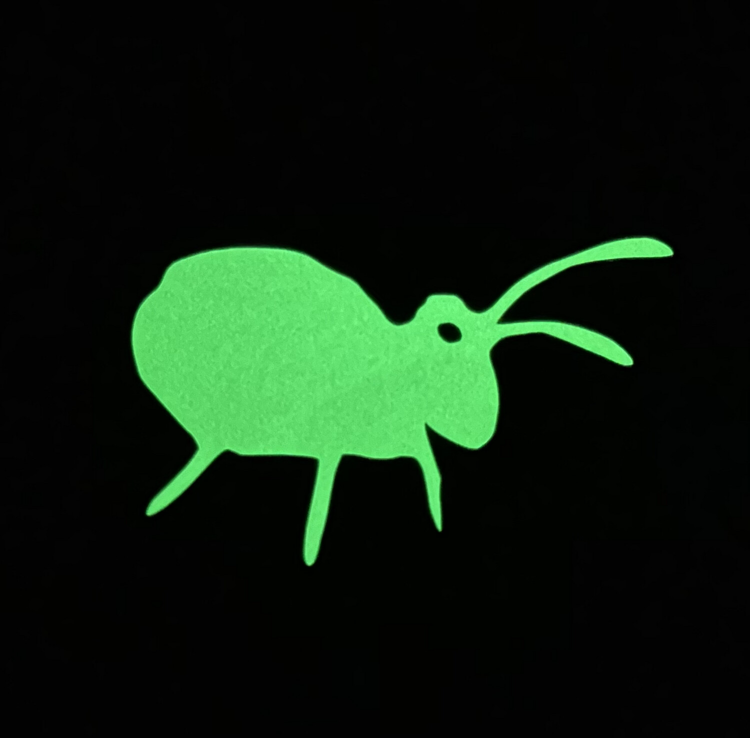 Glow in the Dark Globular Springtail Sticker