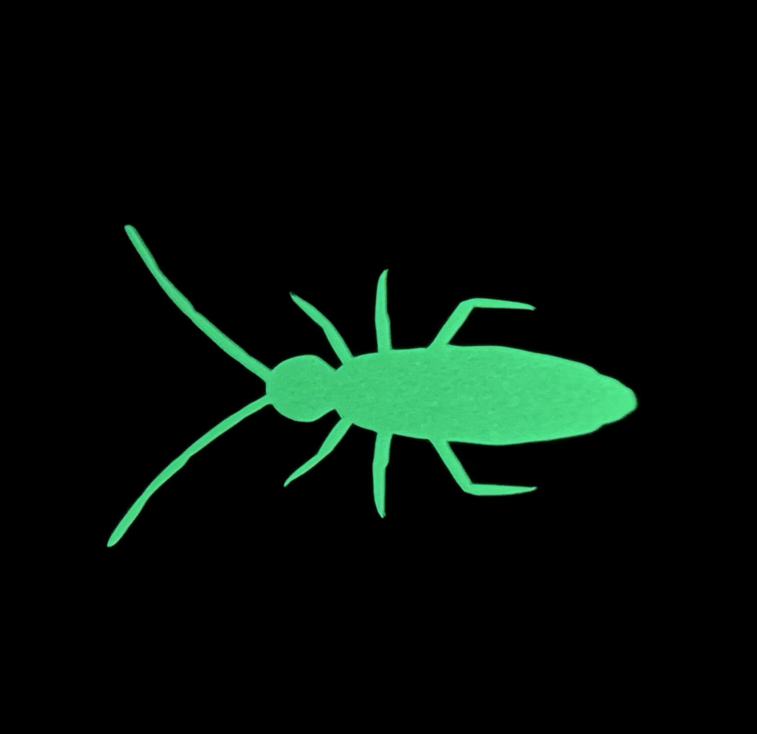 Glow in the Dark Elongate Springtail Sticker
