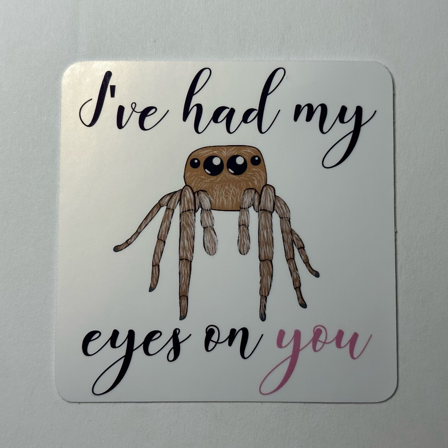 I’ve Had My Eyes On You - Jumping Spider Sticker