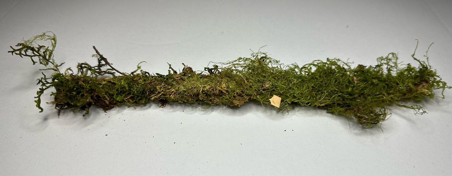 1pc Assorted Mossy Stick