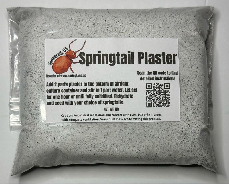 1lb Springtail Plaster