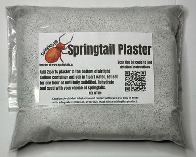 1lb Springtail Plaster