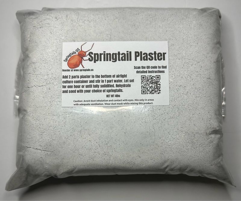 4lbs Springtail Plaster