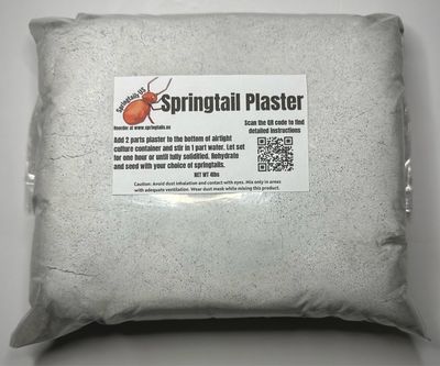 4lbs Springtail Plaster