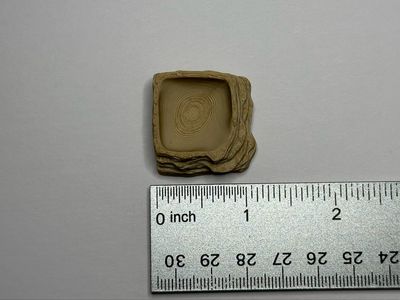 Small Corner Feeding Dish