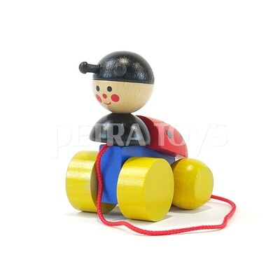 Little Ladybug Pull-Along Toy