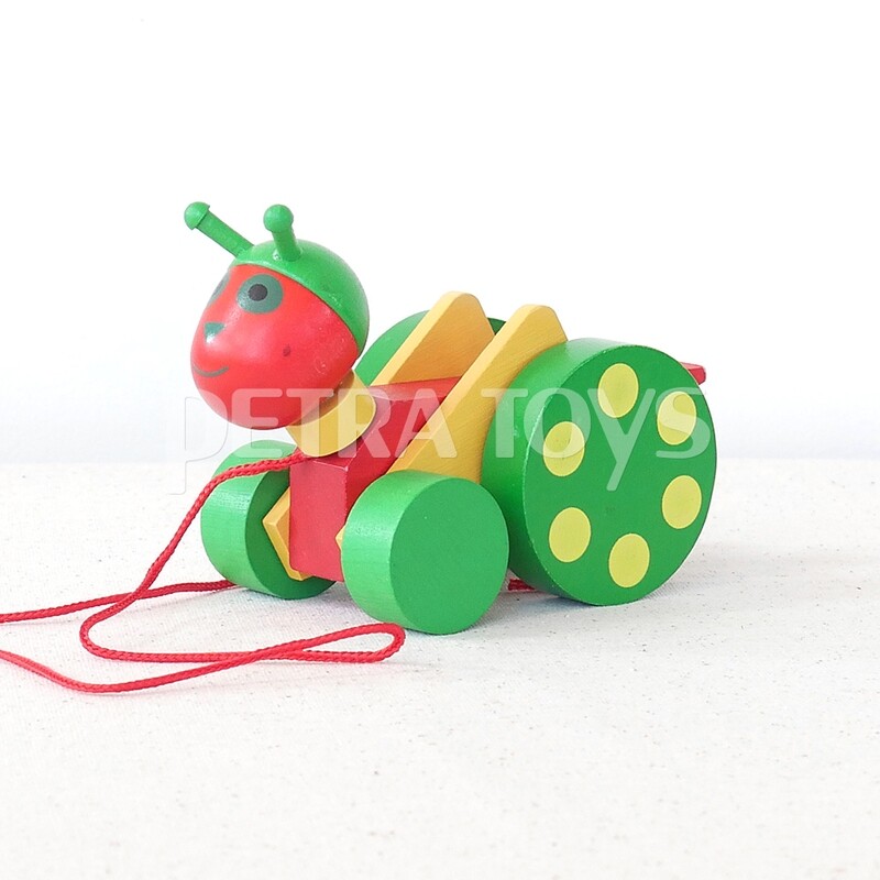 Little Grasshopper Pull-Along Toy