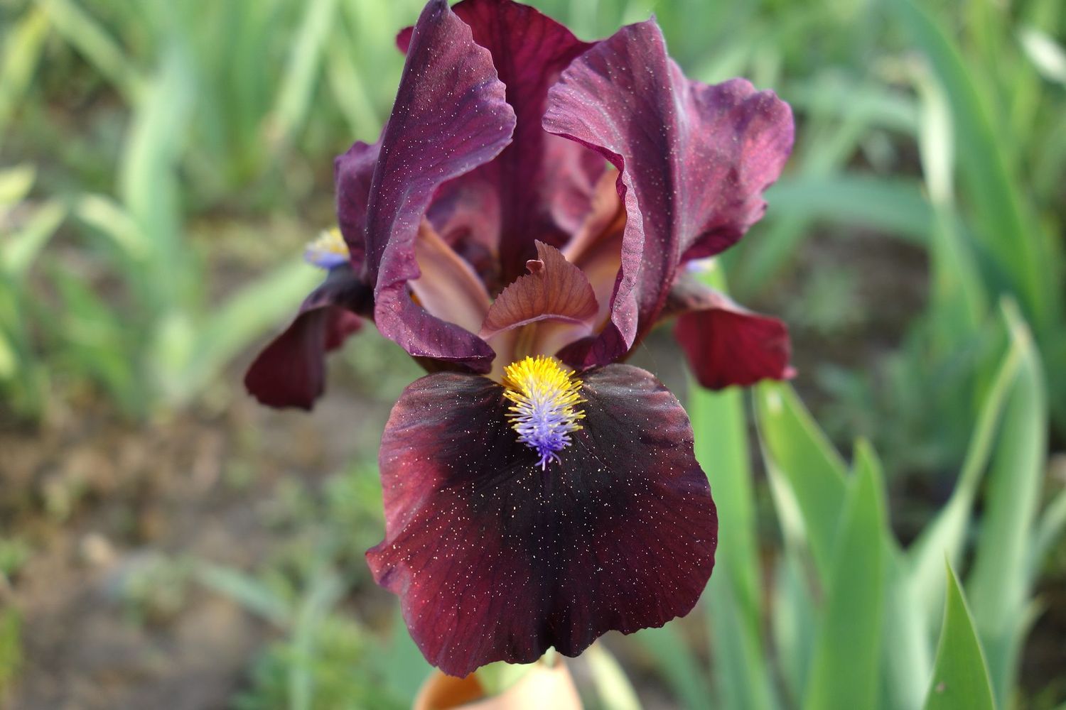 18 Flexiquast x Jiggahex 6 Bir 18 Flexiquast x Jiggahex 6 Bir