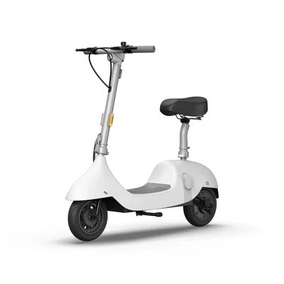 OKAI Ceetle EA10C Pro eScooter