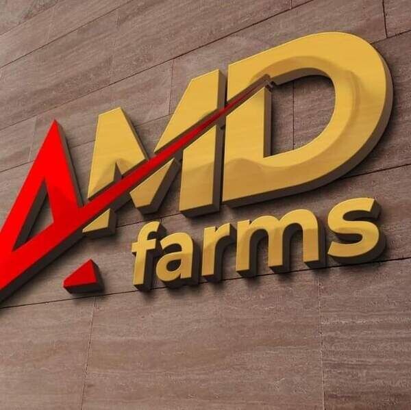 AmdfarmsInternational