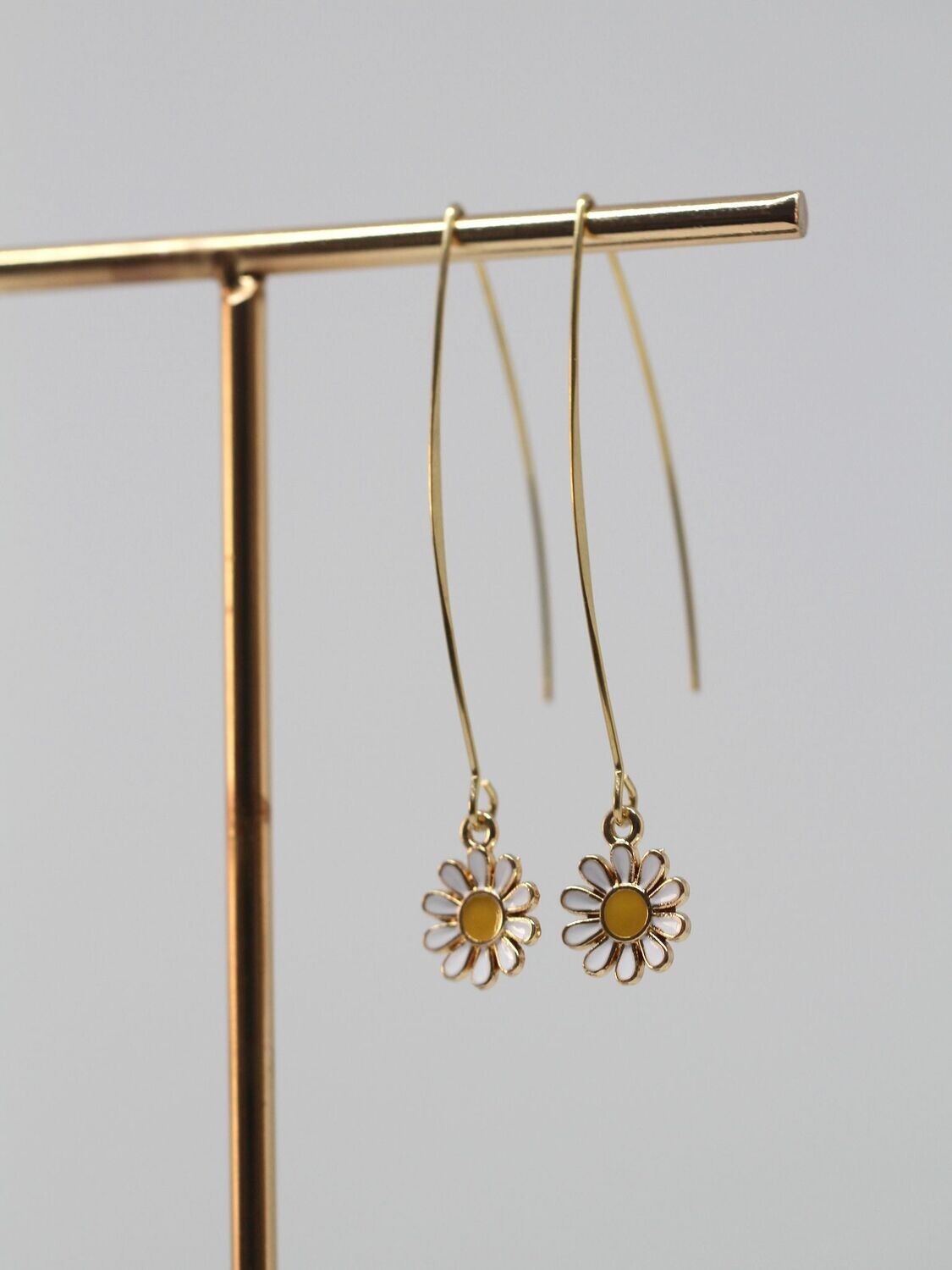 DAISY creoles