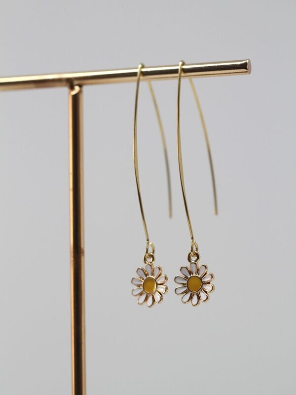 DAISY creoles