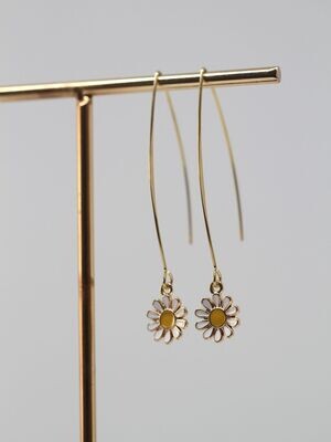 DAISY creoles