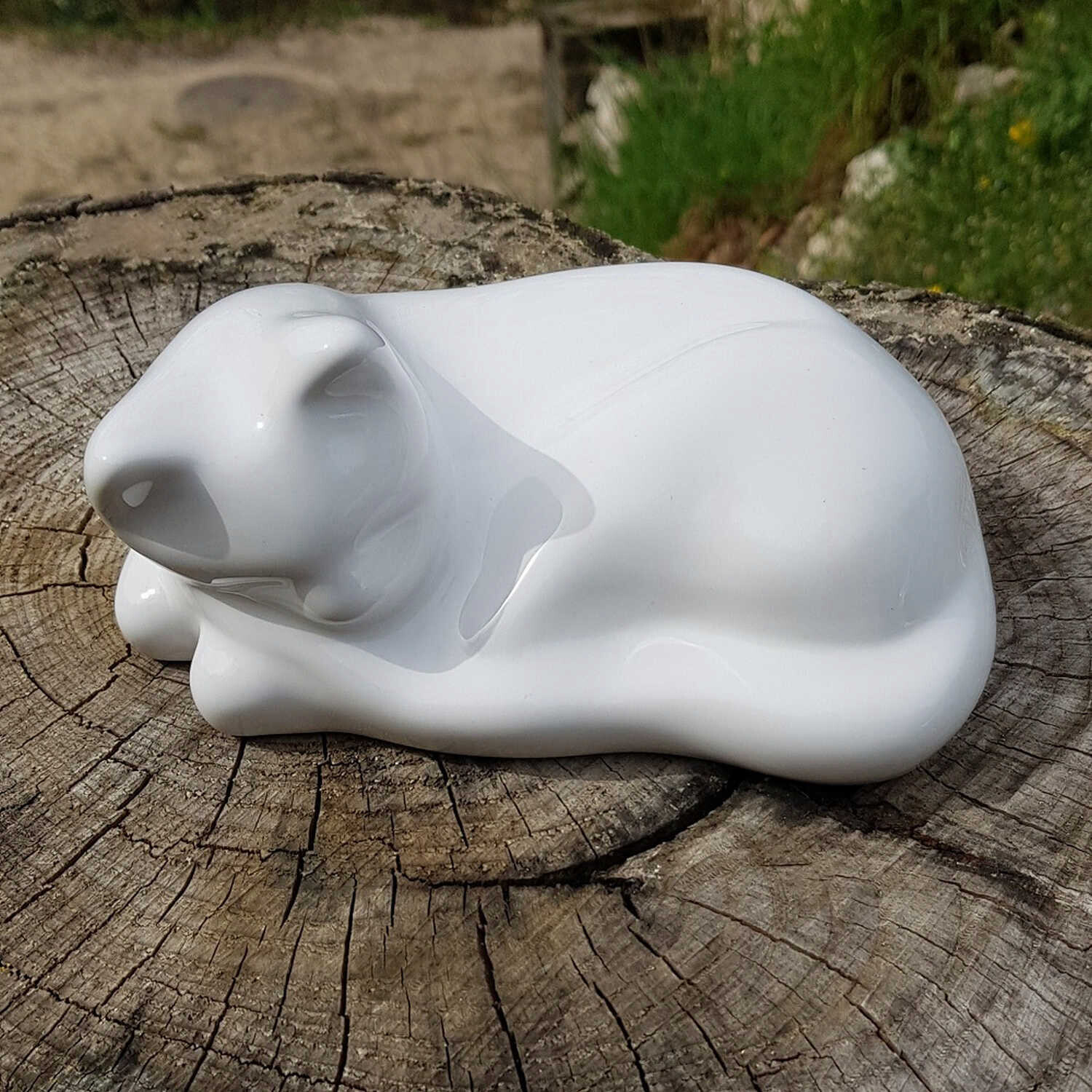 Katzenurne liegend / sitzend